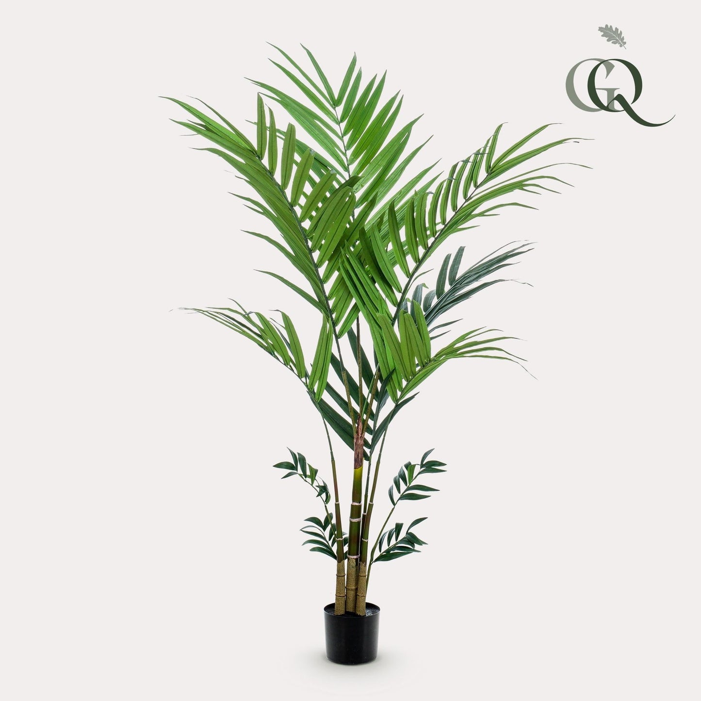 Kunstplant -Kentiapalm - 180cm